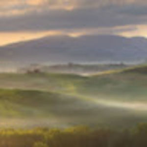 Meet your Posher, Evvie